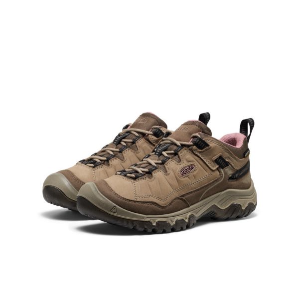 Women's Targhee IV Waterproof Hiking Shoe | Brindle/Nostalgia Rose