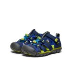 Little Kids' Seacamp II CNX  |  Naval Academy/Chartreuse