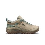Women's Targhee IV Waterproof Hiking Shoe | Abbey Stone/Lily Pad